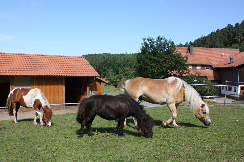 Schlosshof - Der Urlaubsbauernhof Elzach Exterior foto
