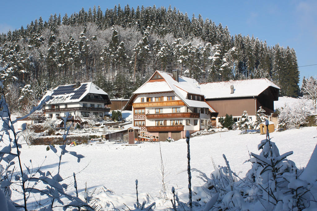 Schlosshof - Der Urlaubsbauernhof Elzach Exterior foto