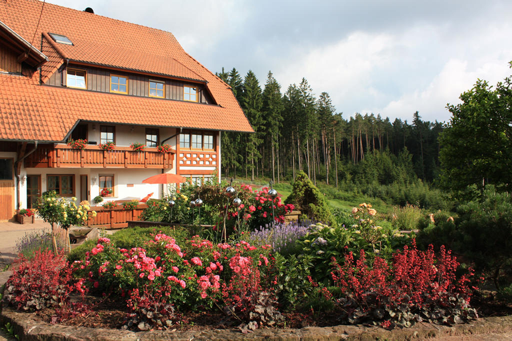 Schlosshof - Der Urlaubsbauernhof Elzach Exterior foto